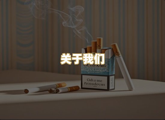 关于我们